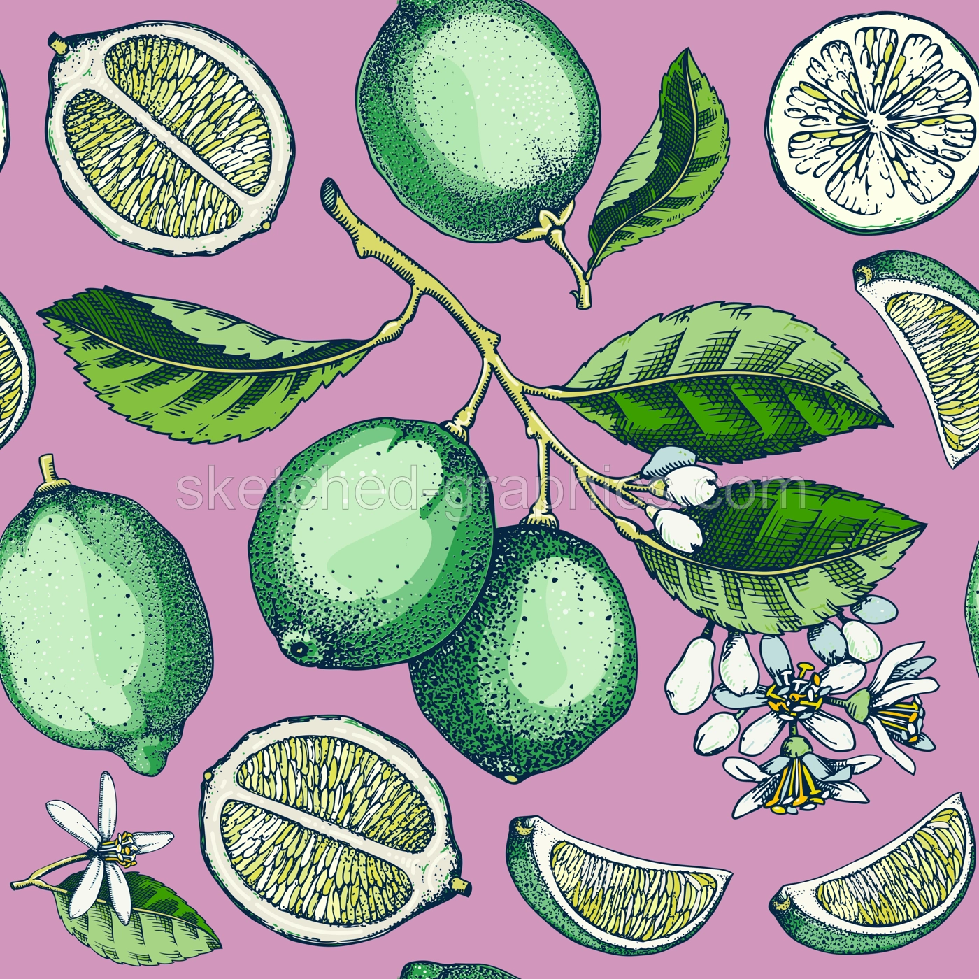 Lime fruit seamless pattern. Citrus fruit sketches. Watercolor style botanical background. Exotic plants texture. Hand drawn vector illustration. NOT AI generated Illustration